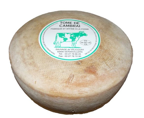 Kaeseladen online shop TOME DE CAMBRAI SAVEUR EN OR 2KG