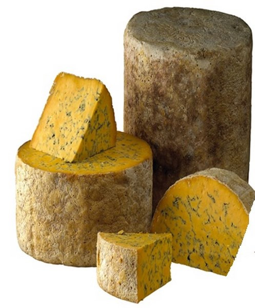 Kaeseladen online shop SHROPSHIRE BLUE CLAWSON 8 KG