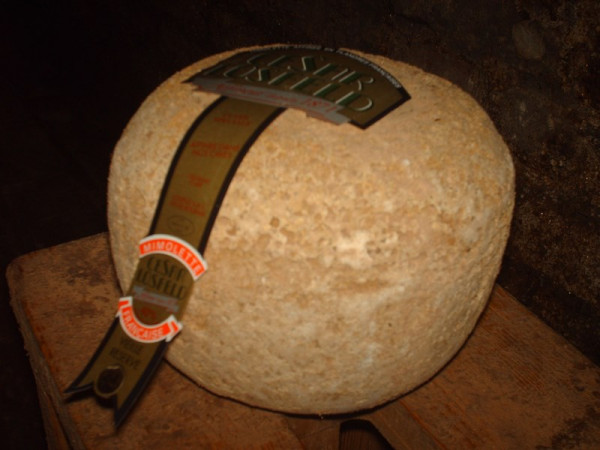 Kaeseladen online shop MIMOLETTE VIEILLE RESERVE 24 MOIS C.LOSFELD